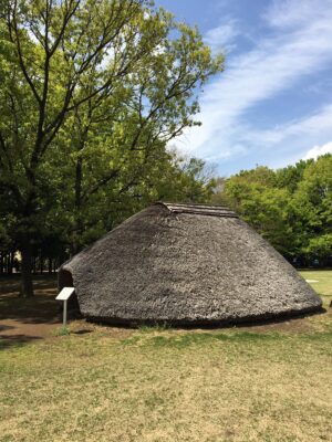 水子貝塚公園にお散歩
